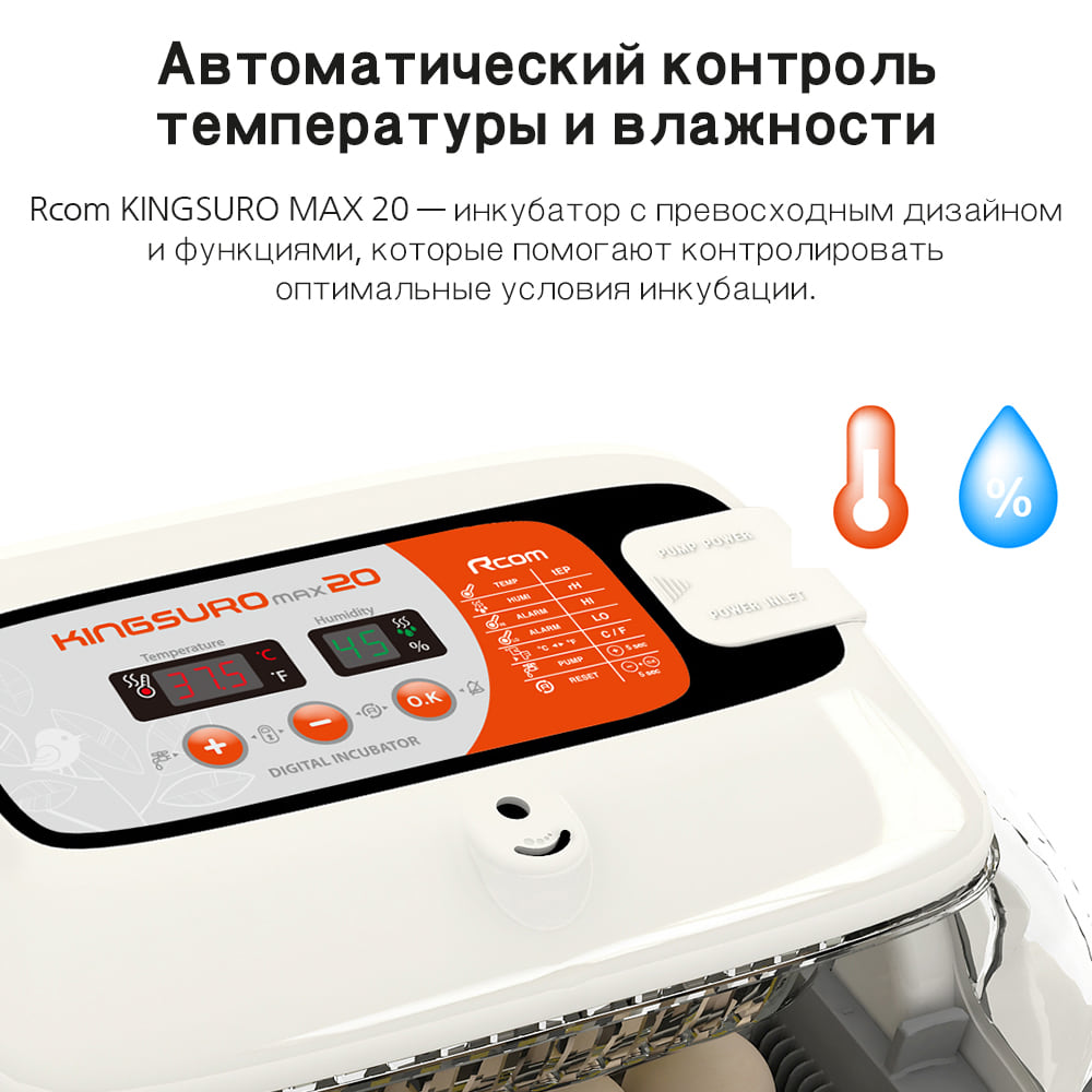 Rcom KINGSURO MAX 20: вид 1