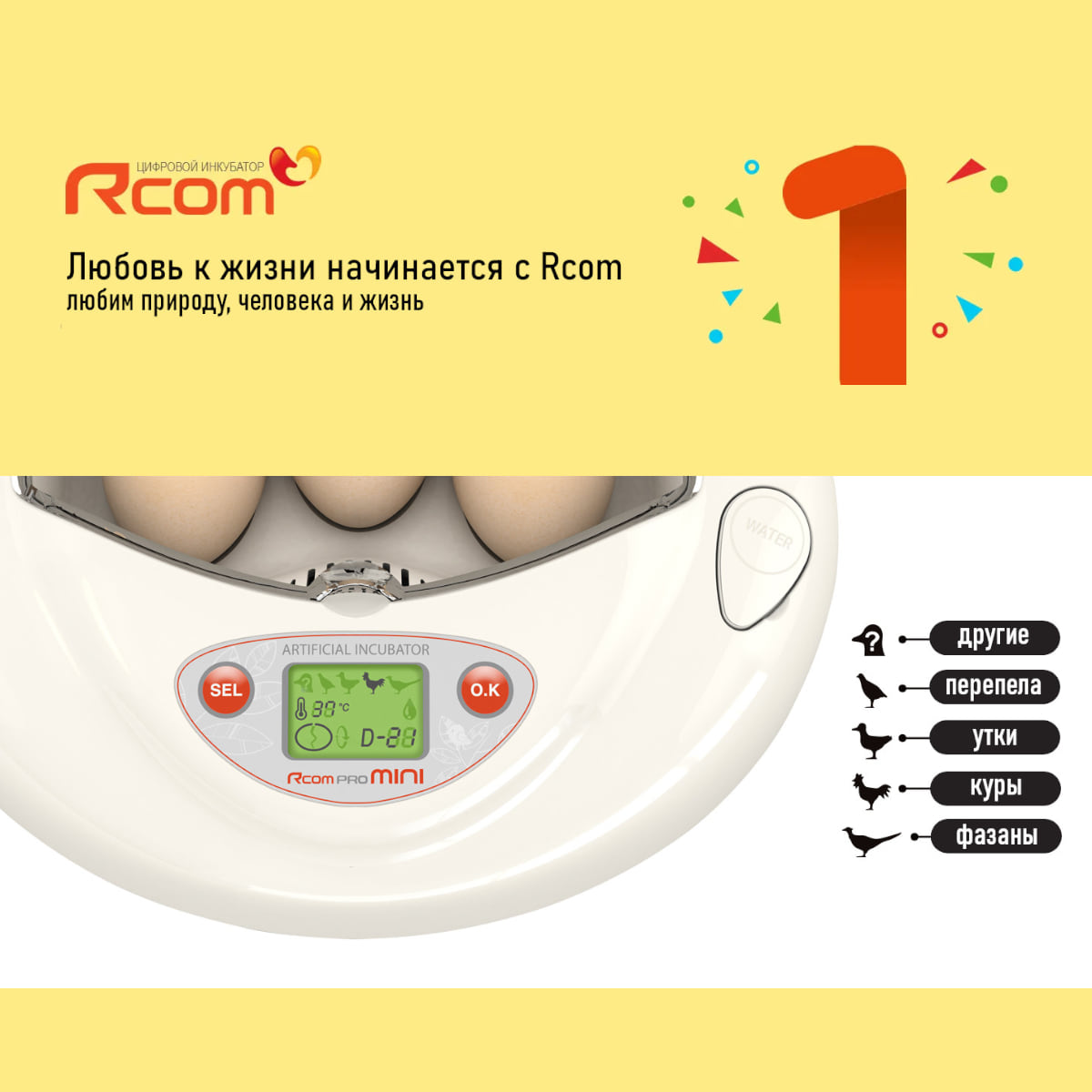Rcom MINI: вид 1