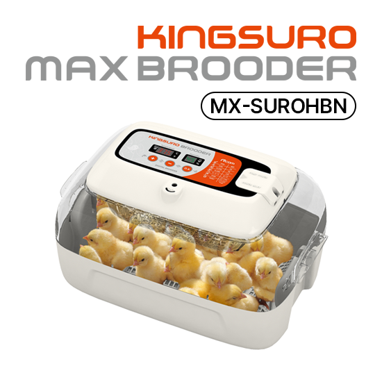 Rcom KINGSURO MAX BROODER MX-SUROHBN