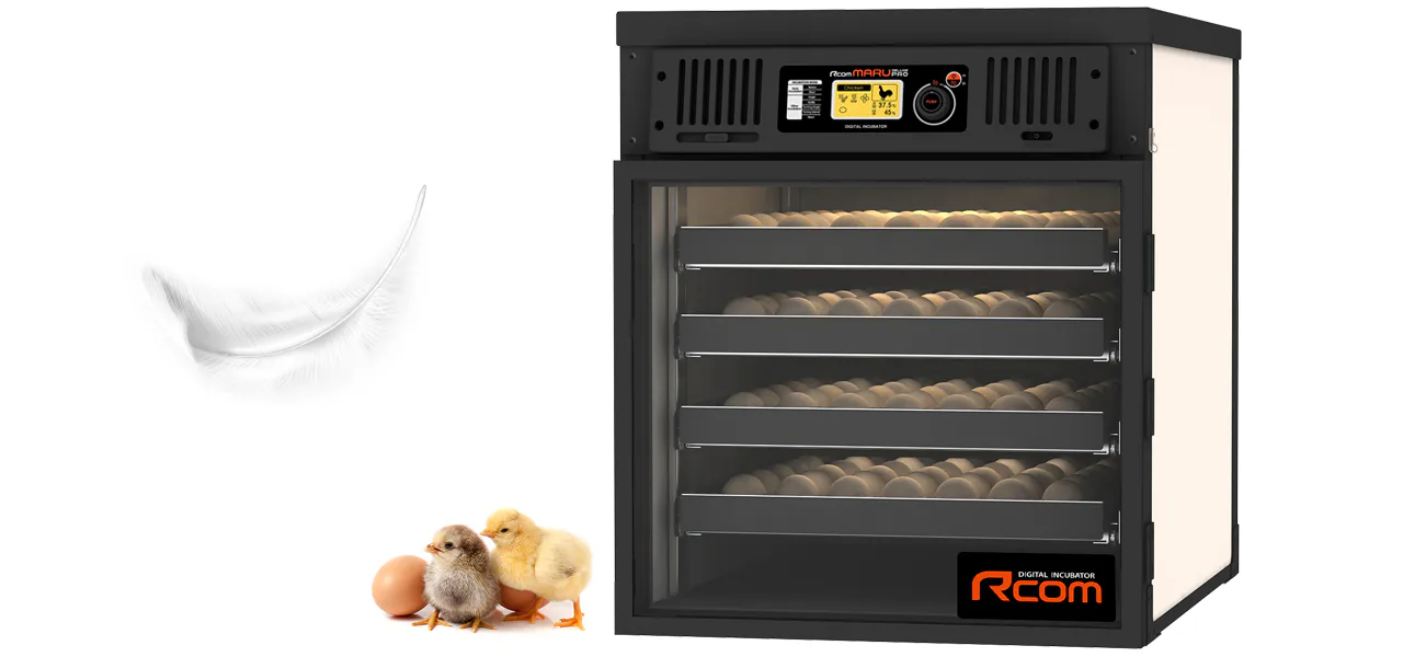 Rcom MARU DELUXE PRO 200: Инкубатор с кладкой