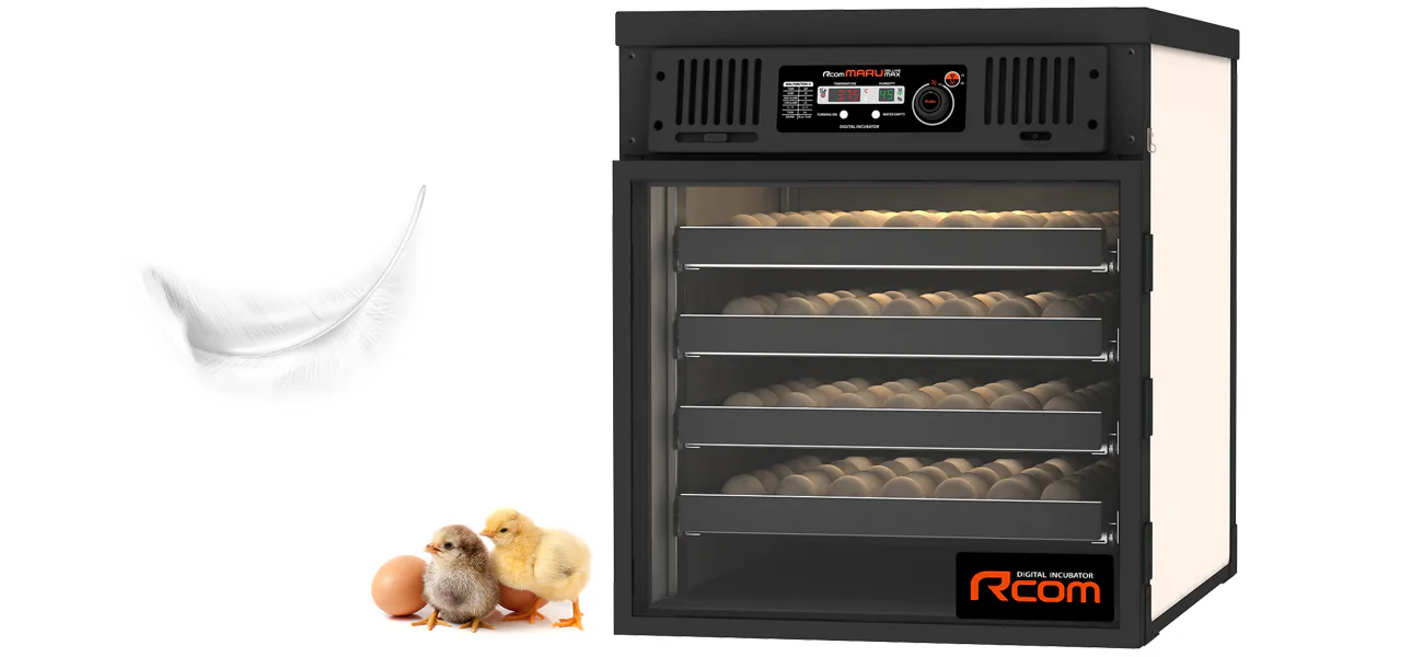 Rcom MARU DELUXE MAX 200: Инкубатор с кладкой