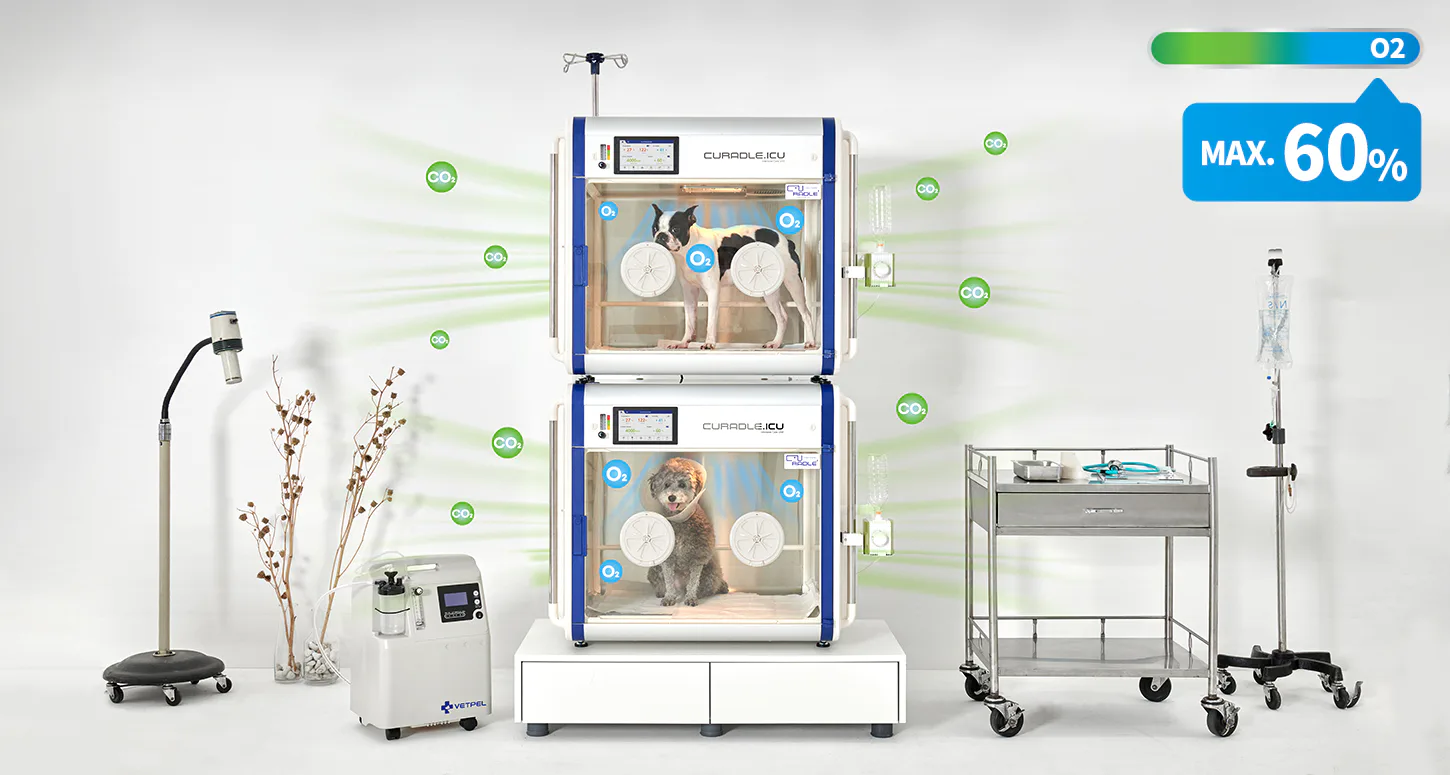 Curadle Smart Incubator PRO PLUS 160C V3: Контроль концентрации кислорода до 60 процентов