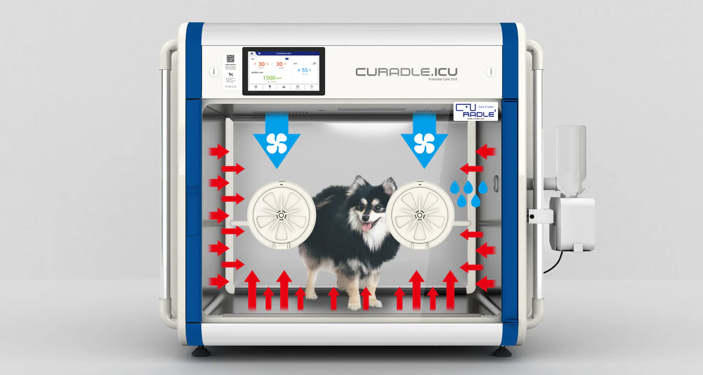 Curadle Smart Incubator PRO 160 V3: Подача и циркуляция кислорода