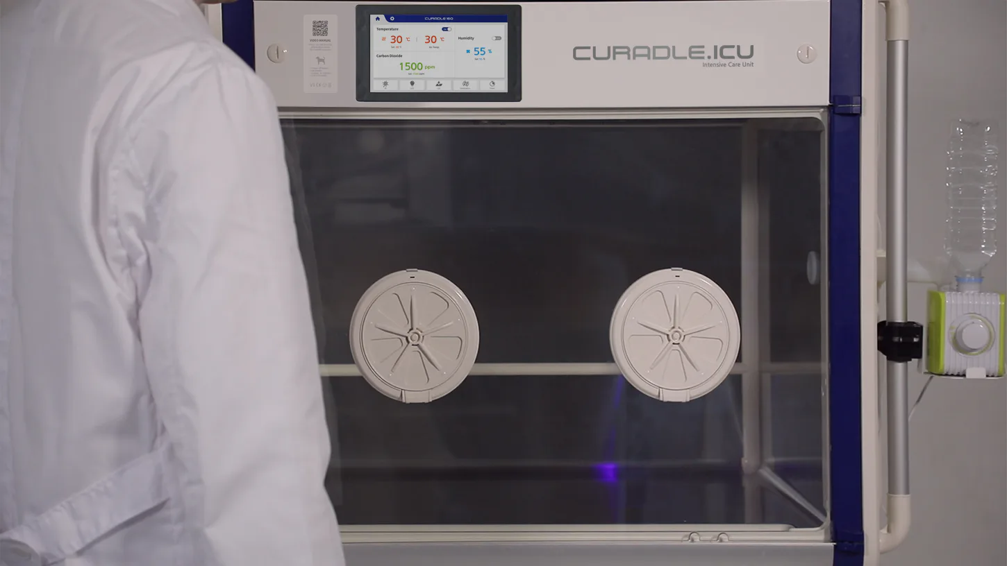Curadle Smart Incubator PRO 160 V3: Ультрафиолетовый режим обработки