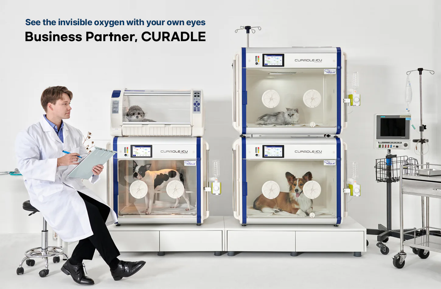 Curadle Smart Incubator PRO 190: Оборудование Curadle в ветеринарной клинике
