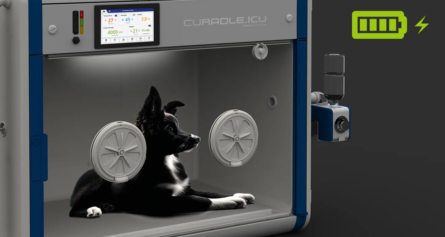 Curadle Smart Incubator PRO 190: Резервное питание камеры