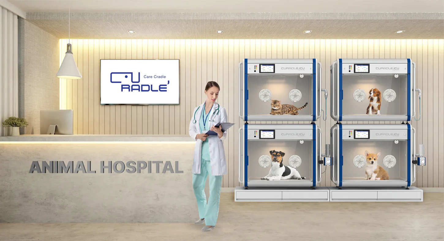 Curadle Smart Incubator PRO 190: Оборудование Curadle в стационаре