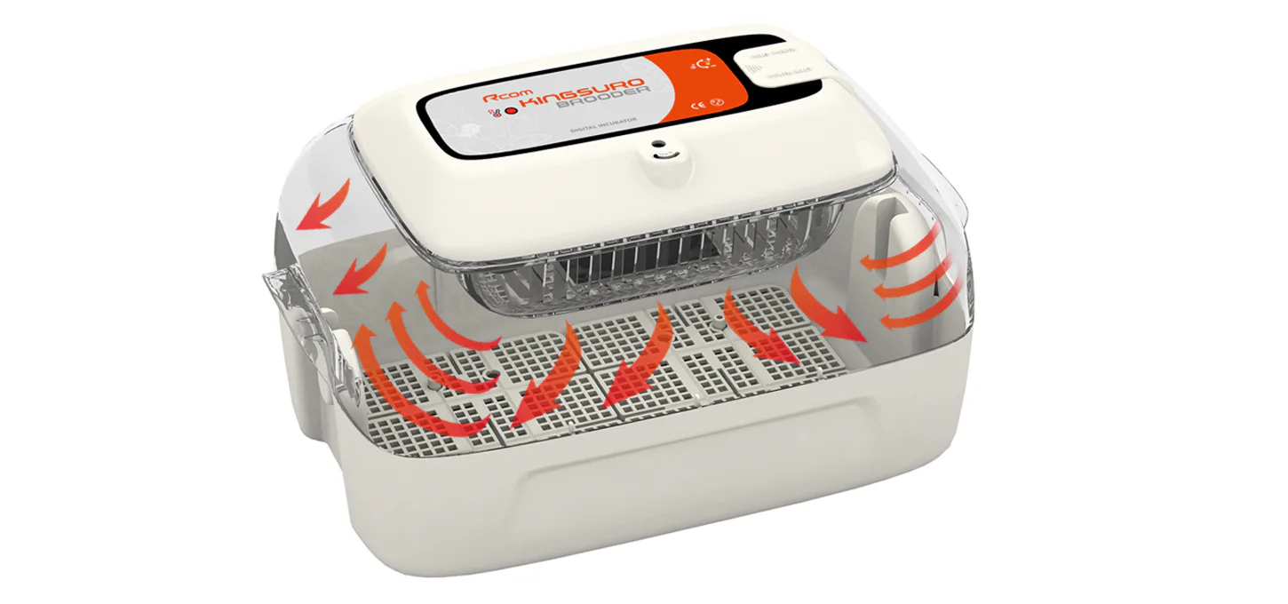Rcom KINGSURO ECO BROODER: Распределение тёплого воздуха