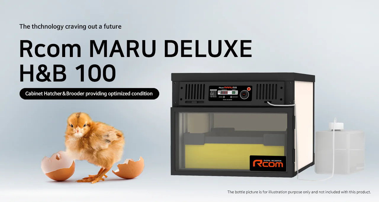Rcom MARU DELUXE H&B 100: Обзор MARU DELUXE H and B 100